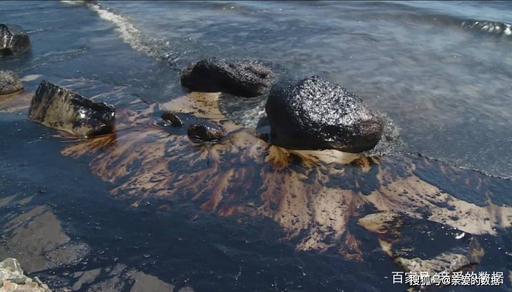 一组ob欧宝美国石油泄漏污染照片人类造的孽要动物来承担