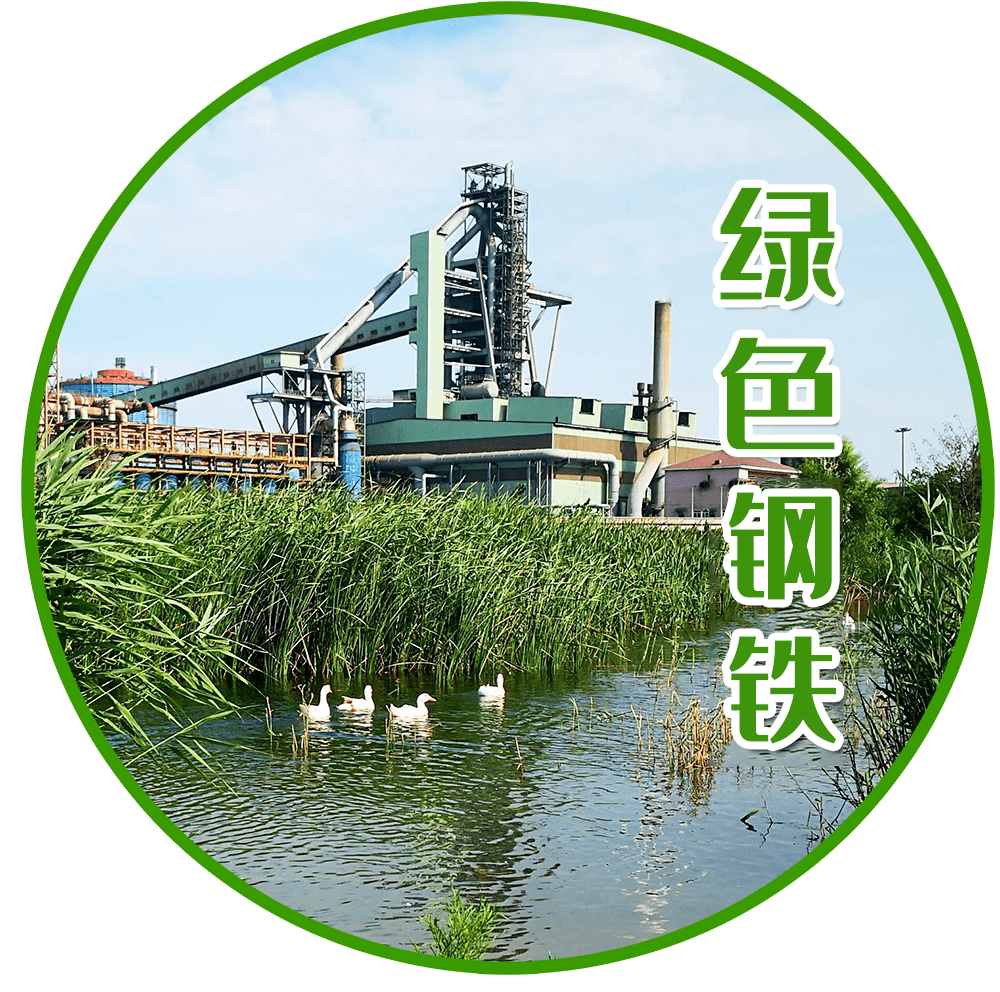何文波：怎ob欧宝样看待中国钢铁工业绿色发展水平难点和方向